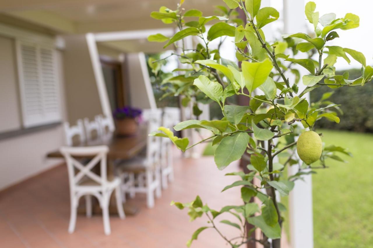 B&B Cava Rossa Monsummano Terme 外观 照片